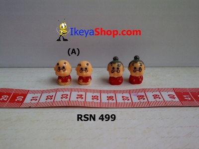 rsn 499  large2